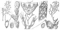 CGY50309.JPG