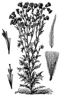 CGY50304.JPG