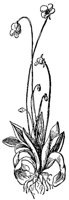 CGY50301.JPG