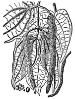 CGY50297.JPG