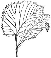 CGY50295.JPG