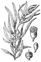 CGY50292.JPG