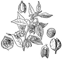 CGY50290.JPG