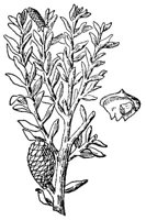 CGY50289.JPG
