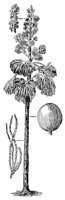 CGY50288.JPG