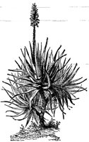 CGY50282.JPG