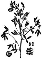 CGY50280.JPG