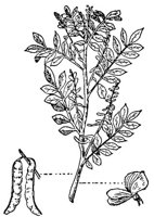 CGY50279.JPG