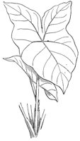 CGY50277.JPG