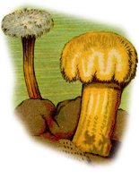 CGY50266.JPG