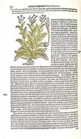 CGY50259.JPG