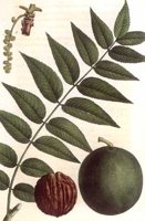 CGY50253.JPG