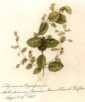 CGY50243.JPG