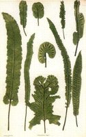 CGY50228.JPG