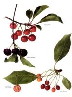 CGY50225.JPG