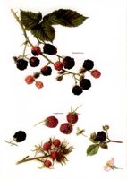 CGY50224.JPG