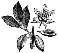 CGY50174.JPG