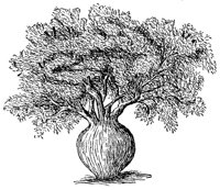 CGY50167.JPG