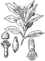 CGY50164.JPG