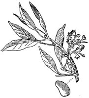 CGY50157.JPG