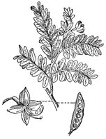 CGY50156.JPG