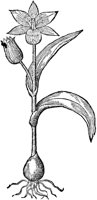 CGY50137.TIF