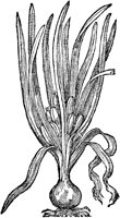 CGY50135.TIF