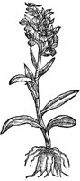 CGY50134.TIF