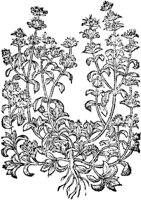 CGY50130.TIF