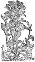 CGY50129.TIF
