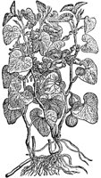 CGY50128.TIF