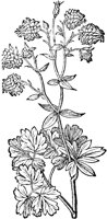 CGY50122.TIF