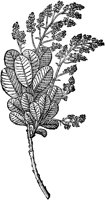 CGY50121.TIF