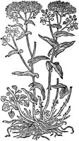 CGY50118.TIF