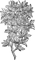 CGY50112.TIF