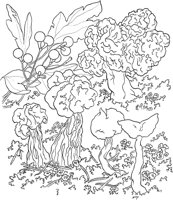 CGY50099.TIF