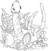 CGY50096.TIF