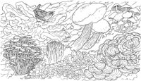 CGY50093.TIF