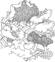 CGY50090.TIF