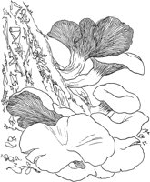 CGY50089.TIF