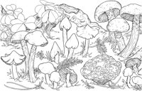 CGY50080.TIF