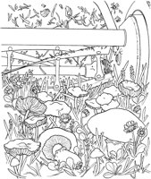 CGY50078.TIF