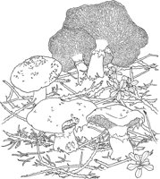 CGY50069.TIF