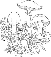 CGY50065.TIF