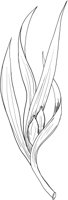 CGY50062.TIF