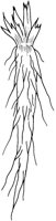 CGY50058.TIF