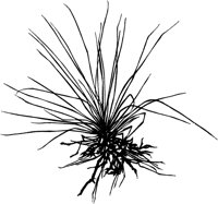CGY50053.TIF