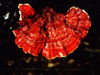 CGY50041.JPG