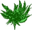 CGY00086.WMF