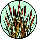 CGY00076.WMF